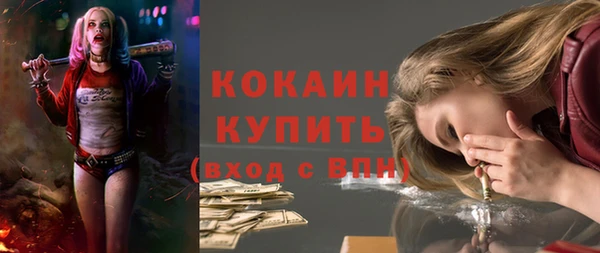 тгк Алзамай