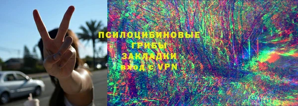 тгк Алзамай