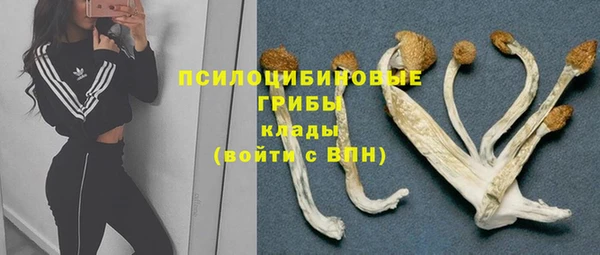 ECSTASY Алексин